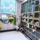 효심장묘 - 금산군 은행나무길 45 | 효심장묘