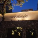 청담인터넷카페PC방 | 청담동 데이트맛집 추천, 테라리움과 함께하는 압구정로데오 카페 <보타닉청담>