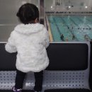 부티아블랙 이미지