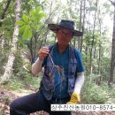 진산농장1 이미지