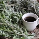 스타휘트니스 이미지