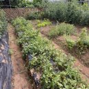 (주)부지런 이미지