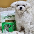 츄잉츄잉 | 강아지 덴탈껌 치석제거 굿포펫 엔자이츄 츄잉 덴탈껌 후기