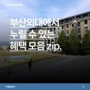 블루포트 부산외대글로벌센터점 | 부산외대에서 누릴 수 있는 혜택 모음 zip.