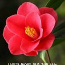 천년지기