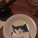 영일대 요유 방문 후기 -영일대 분위기있는 오뎅바+연어회 맛집 - 데이트코스로 추천!🍣✨