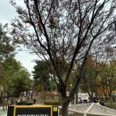 밤골어린이공원 놀이터 이미지