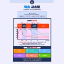 더올림 이미지