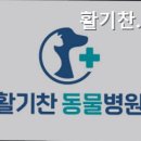 활기찬동물병원 - 성남시 분당구 장안로 39 | 활기찬동물병원