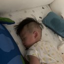 신우문구사