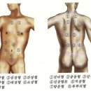 자연정혈요법 이미지