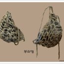 코뚜레 - 북구 신답1길 9 | 코뚜레