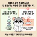 대신약국 - 중구 천근로 32 | 대신약국