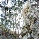 부산 도심산행-연산동 배산둘레길 한바퀴 이미지