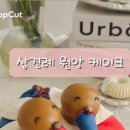 원앙떡 이미지