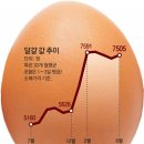 그냥 심심해서요. (9890) 달걀값이 왜 이래? 이미지