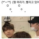 블리 이미지