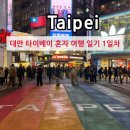 돈키호테 분식나라 | 대만 타이베이 2박 3일 혼자 여행 일기 1일차_김포-쑹산공항 티웨이항공 타이베이메인역 저스트라이브...