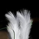 울산광역시청 Daum카페