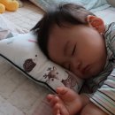 태열 농장 네이버블로그