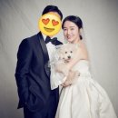 토리트래블 이미지