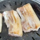 신청춘식당 티스토리