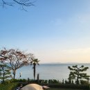 보성매점 | 남해 오션뷰 캠핑장 - 가을캠, 낙엽캠 가능한 '보성 지중해 야영장' B1 후기