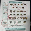 한국내시경 | 한국 4주휴가 사진모음, 대장내시경 후기