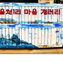 읍천1리 Daum카페