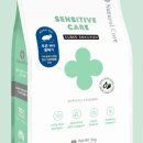 오늘뭐멍냥 이미지