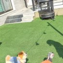 펫밀리샵 이미지