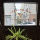 포니하우스 | [원주|무실동 카페] 포니몽키하우스 화이트롤 솔직후기 내돈내산
