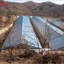 문경축사 이미지