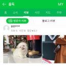 나드리독 이미지