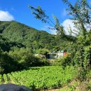 월성계곡 화장실 이미지