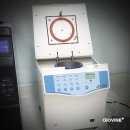 서울세온치과의원 네이버블로그