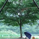 달콤한 캠핑장 이미지