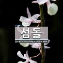 섬돌