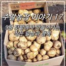 풍년인력 이미지