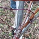 정경식농장 이미지