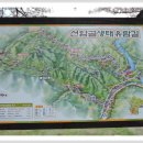 선암골생태유람길 이미지