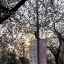 여의서로1길 이미지