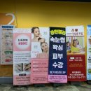 라인블리 네이버블로그