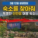 1004민박천사