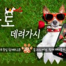 데려가시개 이미지