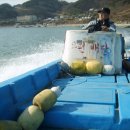 해적 - 태안군 | 해적