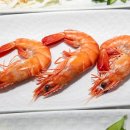 몽돌밭횟집 이미지