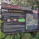 까치울역 2번 출구 네이버블로그