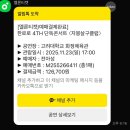 동락라이브 | 2025년 연말 결산
