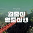 월출산장 | 여름 월출산 무박일출산행 다녀오다